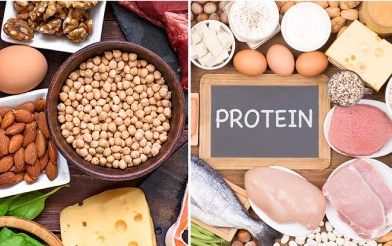 Các món ăn giàu protein từ các loại thịt, cá và hạt dinh dưỡng