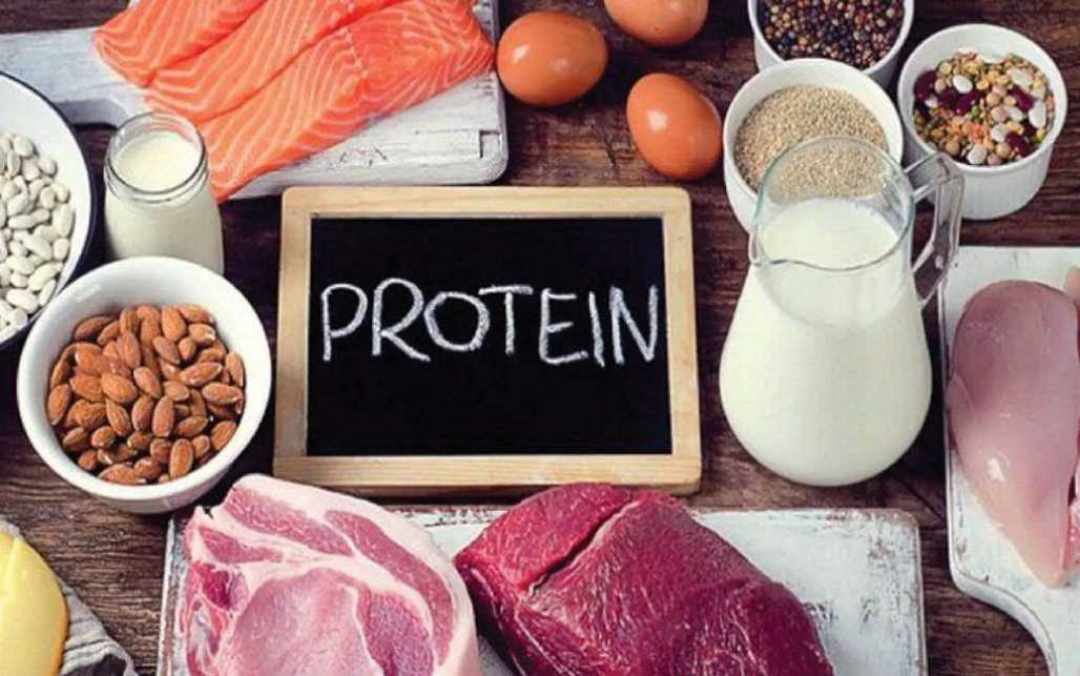 Những thực phẩm giàu protein mà bà bầu nên biết và cập nhật sớm