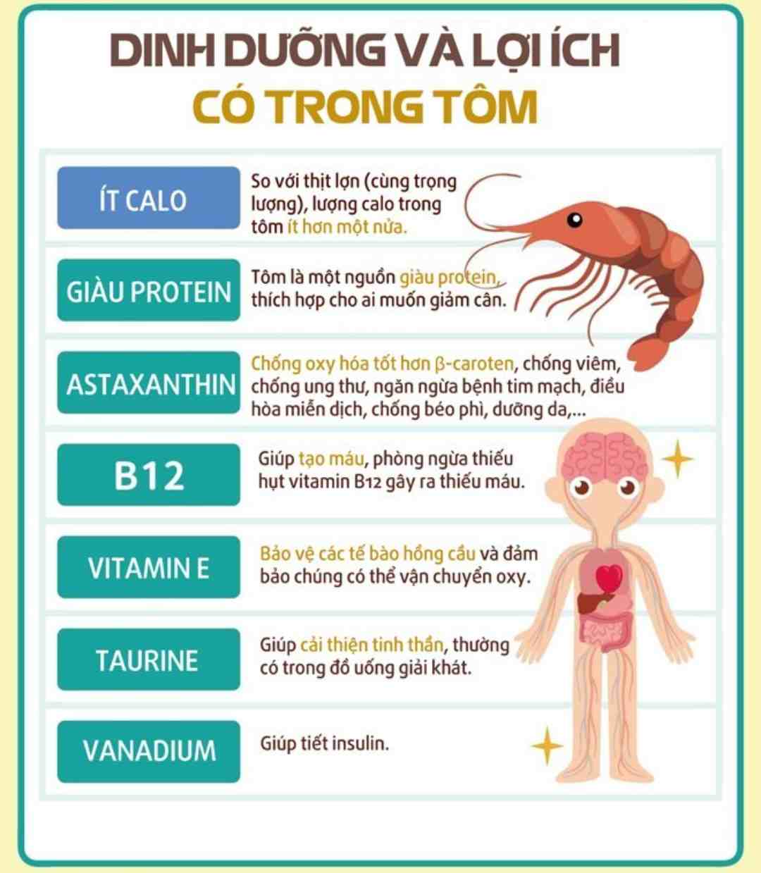 Một số chất dinh dưỡng bổ ích có trong thịt tôm