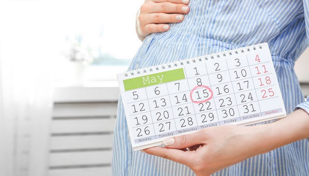 Cách tính tuổi thai IVF để biết ngày dự sinh